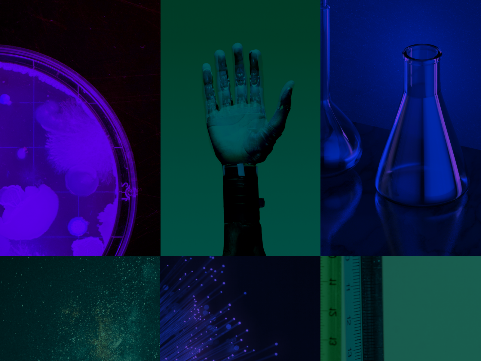 Six images collé